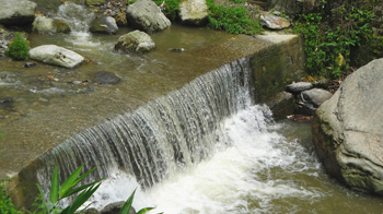 Barbotey Rock Garden